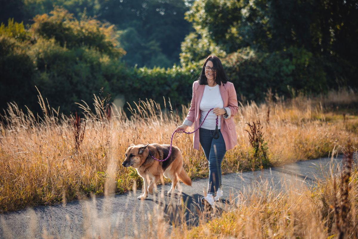 Femme qui promène un chien sur un sentier à travers un champ par une journée ensoleillée.