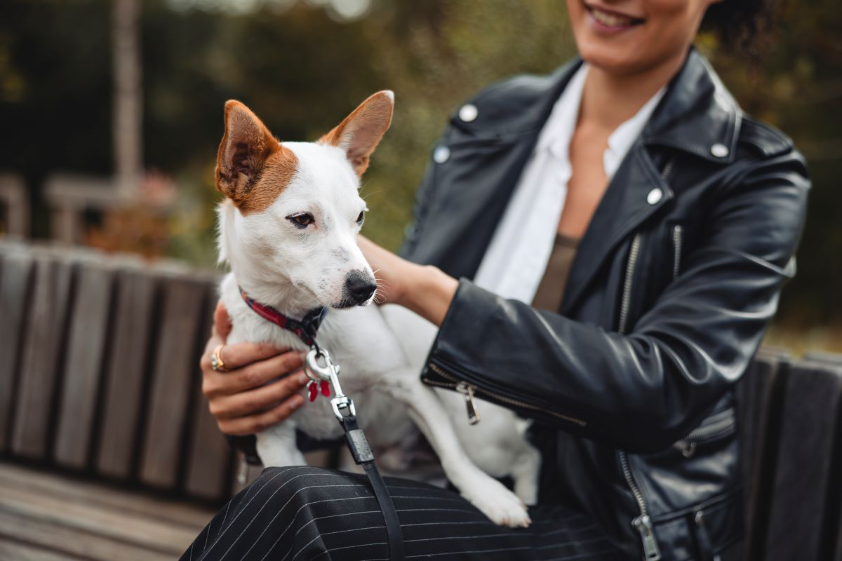 Femme en blouson de cuir qui tient un petit chien sur un banc.