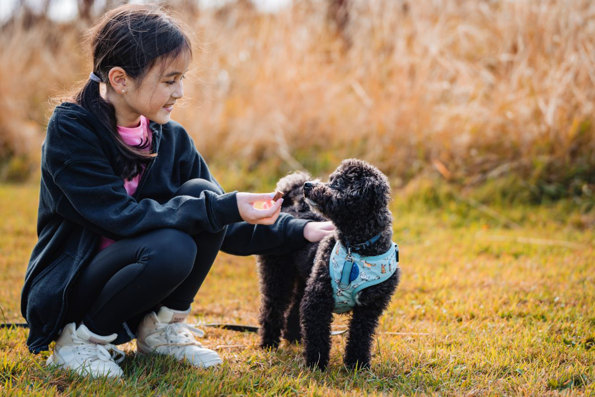 Fille caressant un petit chien noir dans un champ d'herbe.