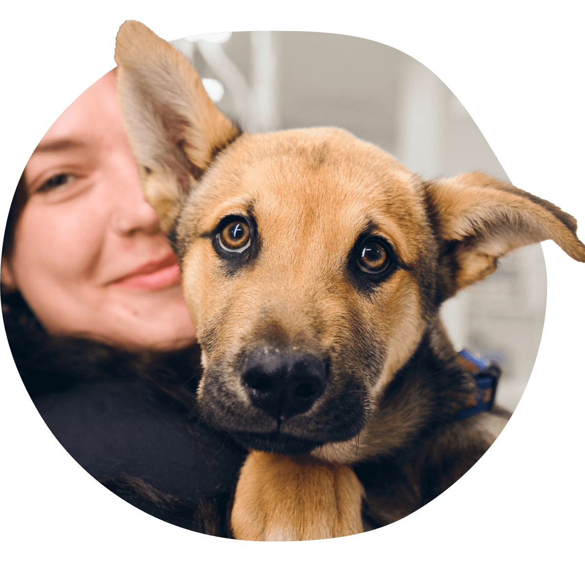 Femme serrant dans ses bras un chien brun avec une expression curieuse