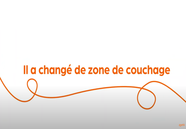 Texte « Il a changé de zone de couchage » avec une spirale orange sur fond blanc.