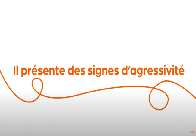 Texte « Il présente des signes d’agressivité » avec une spirale orange sur fond blanc.