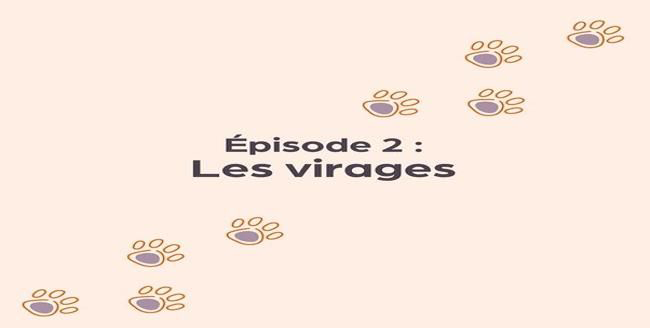 Texte «  Épisode 2: Les changements de direction  » avec empreinte de patte sur fond orange clair.