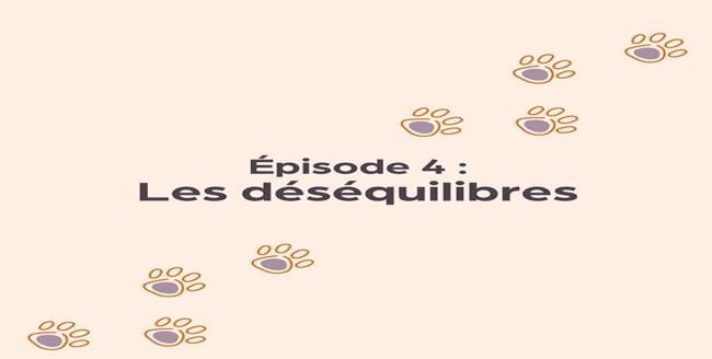Texte «  Épisode 4: Les déséquilibres  » avec empreinte de patte sur fond orange clair.