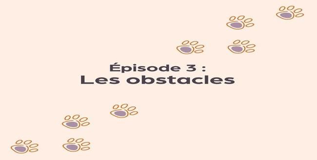 Texte «  Épisode 3: Les obstacles » avec empreinte de patte sur fond orange clair.