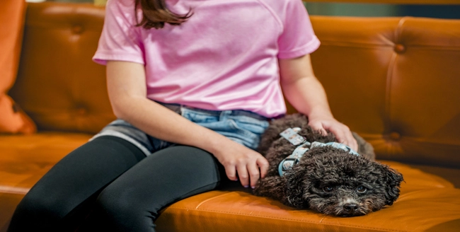 Personne avec des ongles turquoise tenant la patte d’un chien sur un tissu rose.